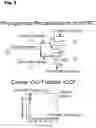 Fig. 08 - Torque vectoring unit