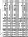 Fig. 101 - Torque vectoring unit