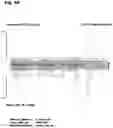 Fig. 105 - Torque vectoring unit