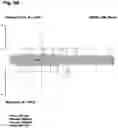 Fig. 106 - Torque vectoring unit