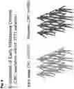 Fig. 11 - Torque vectoring unit