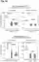 Fig. 15 - Torque vectoring unit
