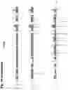 Fig. 19 - Torque vectoring unit