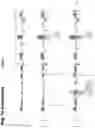 Fig. 21 - Torque vectoring unit