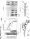 Fig. 51 - Torque vectoring unit