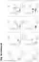 Fig. 67 - Torque vectoring unit