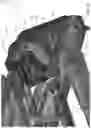 Fig. 23 - Kinematic vehicle seat