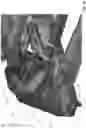 Fig. 27 - Kinematic vehicle seat