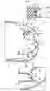 Fig. 08 - Vehicular door mirror device