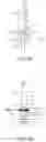 Fig. 22 - HANDLE HAVING ENGAGING PORTION