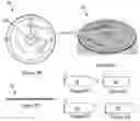 Fig. 06 - Child resistant airtight lid