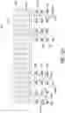 Fig. 14 - Multiposition lift