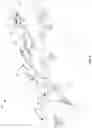 Fig. 08 - Come along device