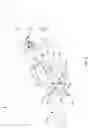 Fig. 09 - Come along device
