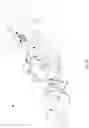 Fig. 10 - Come along device