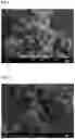 Fig. 03 - Method for fast synthesis of an AFX-structure zeolite with a FAUjasite source