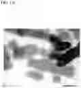 Fig. 03 - METHOD FOR PRODUCING CALCIUM CARBONATE, CALCIUM CARBONATE, AND METHOD FOR GROWING CALCIUM CARBONATE CRYSTALS