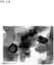 Fig. 05 - METHOD FOR PRODUCING CALCIUM CARBONATE, CALCIUM CARBONATE, AND METHOD FOR GROWING CALCIUM CARBONATE CRYSTALS
