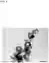 Fig. 08 - METHOD FOR PRODUCING CALCIUM CARBONATE, CALCIUM CARBONATE, AND METHOD FOR GROWING CALCIUM CARBONATE CRYSTALS
