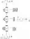 Fig. 02 - Method of Preparing Fluorine-18 Labeled Cabozantinib and Its Analogs
