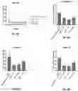 Fig. 07 - VIRUS-LIKE PARTICLES AND METHODS OF USE THEREOF