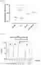 Fig. 04 - Multivalent malaria transmission-blocking vaccines