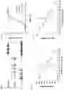 Fig. 05 - Multivalent malaria transmission-blocking vaccines