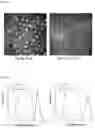 Fig. 07 - Multivalent malaria transmission-blocking vaccines