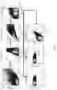 Fig. 02 - Neoantigen peptide mimics