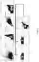 Fig. 07 - Neoantigen peptide mimics