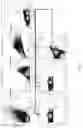 Fig. 08 - Neoantigen peptide mimics