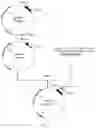 Fig. 08 - METHOD FOR PREPARING TARGET POLYPEPTIDE BY MEANS OF RECOMBINATION AND SERIES CONNECTION OF FUSED PROTEINS