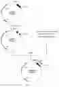 Fig. 14 - METHOD FOR PREPARING TARGET POLYPEPTIDE BY MEANS OF RECOMBINATION AND SERIES CONNECTION OF FUSED PROTEINS