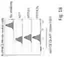 Fig. 15 - PEPTIDE MARKERS TO TRACK GENETICALLY ENGINEERED CELLS