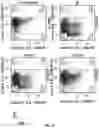 Fig. 18 - PEPTIDE MARKERS TO TRACK GENETICALLY ENGINEERED CELLS