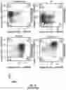 Fig. 19 - PEPTIDE MARKERS TO TRACK GENETICALLY ENGINEERED CELLS