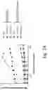 Fig. 22 - PEPTIDE MARKERS TO TRACK GENETICALLY ENGINEERED CELLS