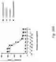 Fig. 26 - PEPTIDE MARKERS TO TRACK GENETICALLY ENGINEERED CELLS