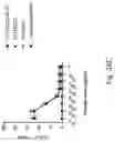 Fig. 28 - PEPTIDE MARKERS TO TRACK GENETICALLY ENGINEERED CELLS