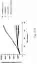 Fig. 30 - PEPTIDE MARKERS TO TRACK GENETICALLY ENGINEERED CELLS