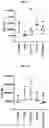 Fig. 14 - CHIMERIC ANTIGEN RECEPTORS WITH CD20 SAFETY SWITCH