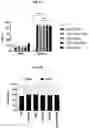 Fig. 19 - CHIMERIC ANTIGEN RECEPTORS WITH CD20 SAFETY SWITCH