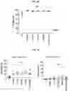 Fig. 22 - CHIMERIC ANTIGEN RECEPTORS WITH CD20 SAFETY SWITCH