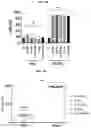 Fig. 24 - CHIMERIC ANTIGEN RECEPTORS WITH CD20 SAFETY SWITCH
