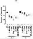 Fig. 25 - CHIMERIC ANTIGEN RECEPTORS WITH CD20 SAFETY SWITCH