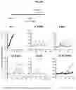 Fig. 27 - CHIMERIC ANTIGEN RECEPTORS WITH CD20 SAFETY SWITCH