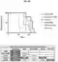 Fig. 30 - CHIMERIC ANTIGEN RECEPTORS WITH CD20 SAFETY SWITCH