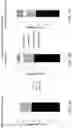 Fig. 06 - T CELL RECEPTORS RECOGNIZING HLA-A1-RESTRICTED MAGE-A3
