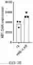 Fig. 15 - HYPOXIA-RESPONSIVE CHIMERIC ANTIGEN RECEPTORS