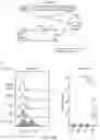 Fig. 18 - HYPOXIA-RESPONSIVE CHIMERIC ANTIGEN RECEPTORS